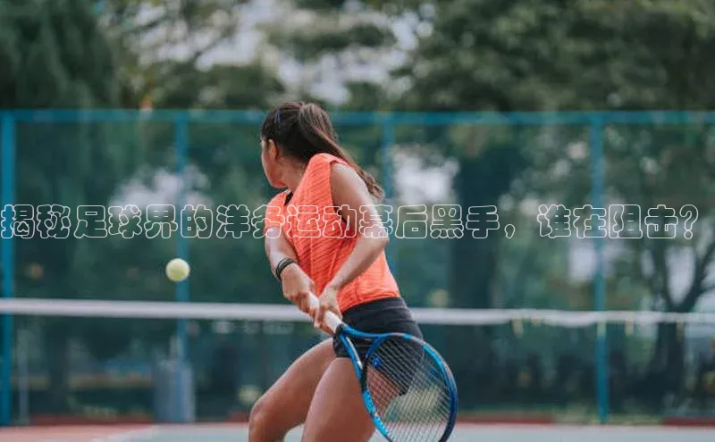 williamhill体育在线平台度小满支付揭秘足球界的洋务运动幕后黑手，谁在阻击？