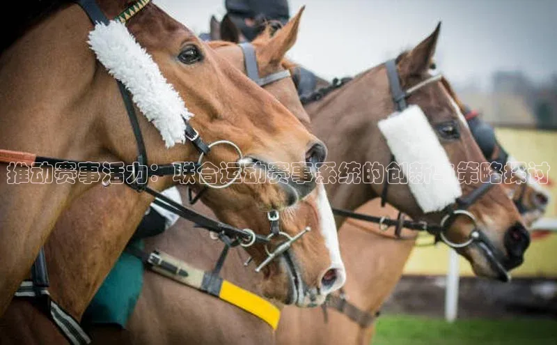 推动赛事活力：联合运动赛事系统的创新与策略探讨