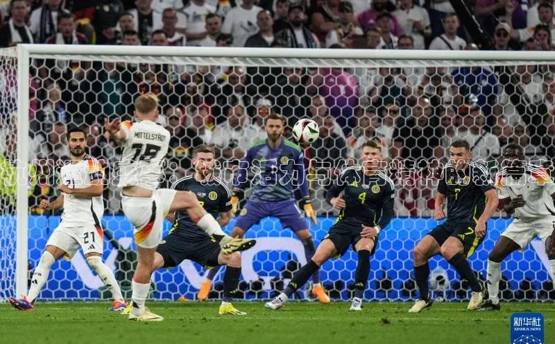 杭州运动盛事：城市活力与体育精神的新篇章