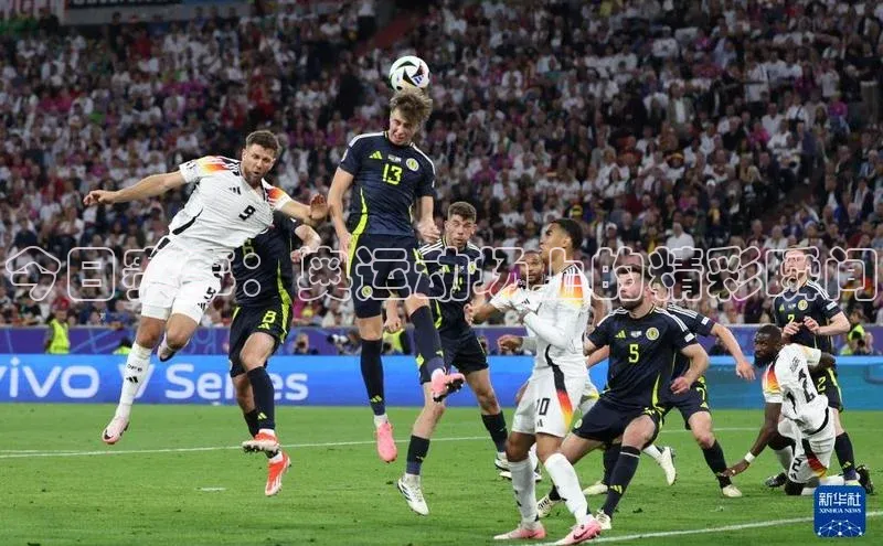 今日赛事：奥运动场上的精彩瞬间