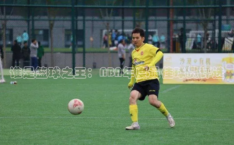 谁是篮球之王：NBA年度最佳球员评选