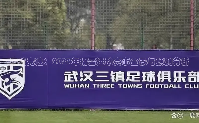 雪域竞速：2023年滑雪运动赛事全景与预测分析