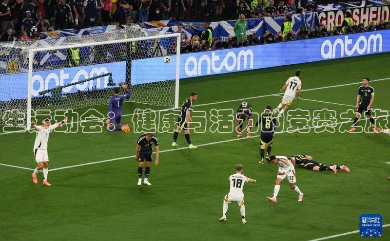 生运动会：健康与活力的竞赛之旅