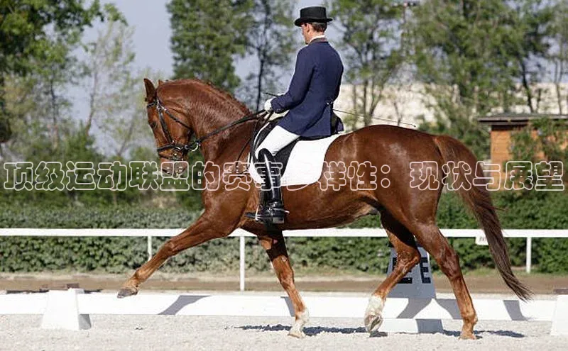 顶级运动联盟的赛事多样性：现状与展望