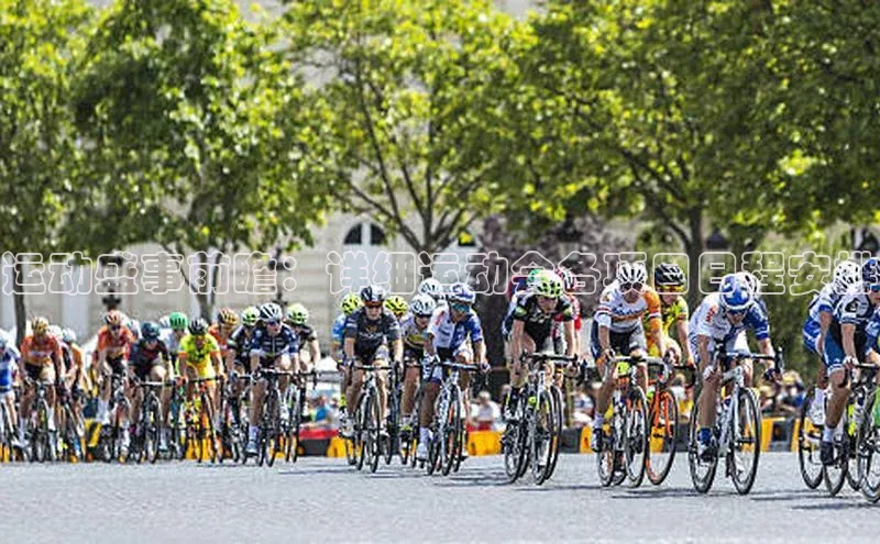 运动盛事前瞻：详细运动会各项目日程安排