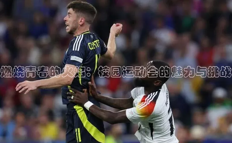 威廉希尔体育官网入口