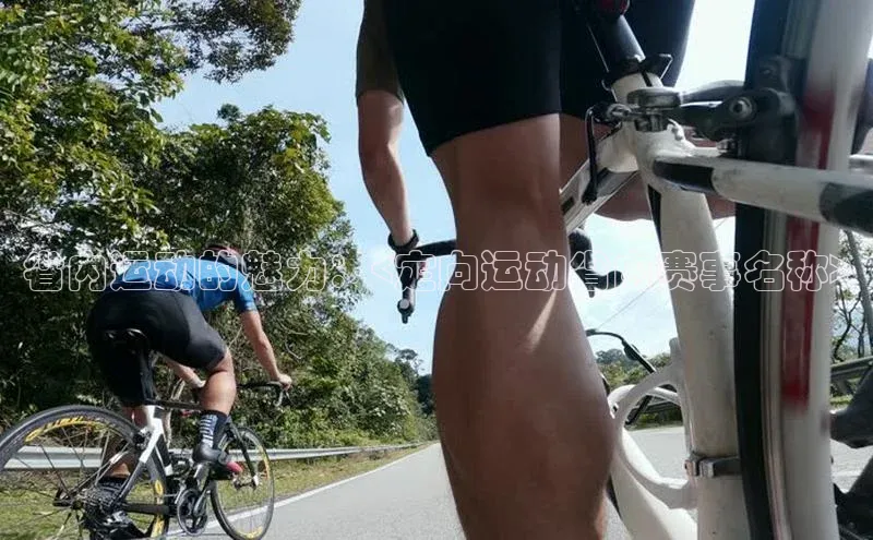 省内运动的魅力：<定向运动省内赛事名称>