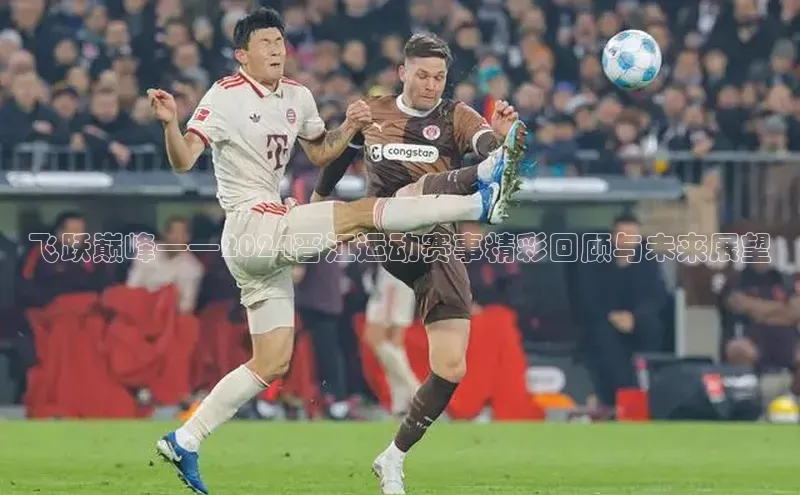 飞跃巅峰——2024晋江运动赛事精彩回顾与未来展望